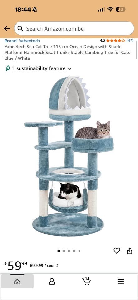 Arbre à chat requin