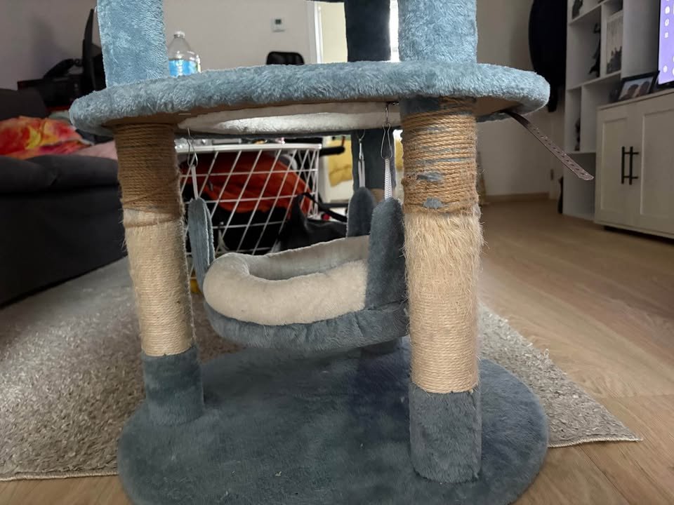 Arbre à chat requin