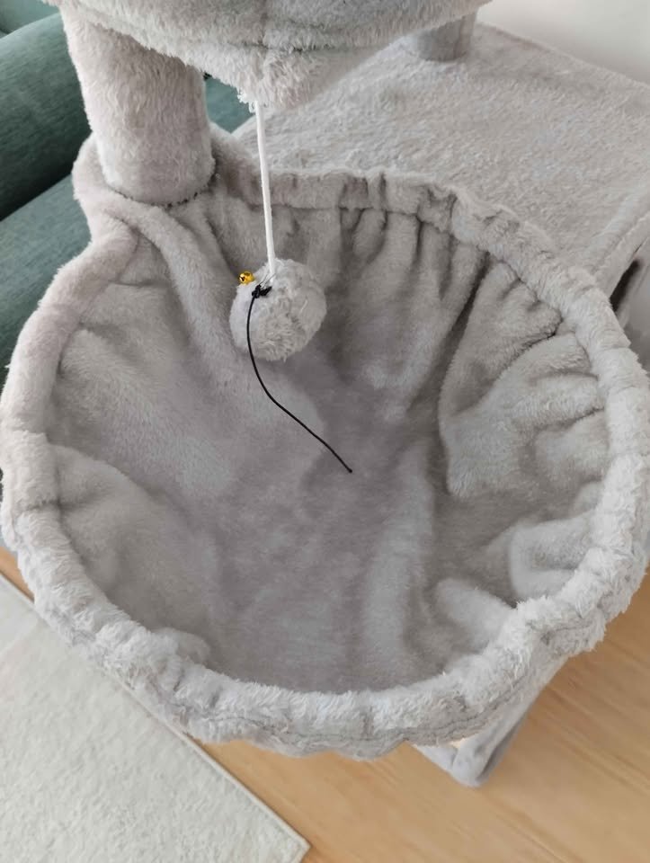 Cat tree chat tree