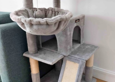 Cat tree chat tree